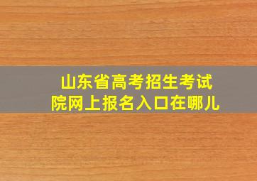 山东省高考招生考试院网上报名入口在哪儿