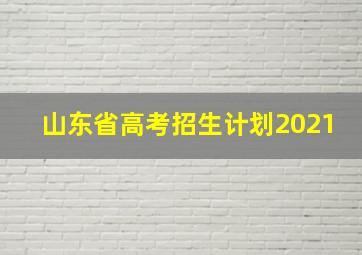 山东省高考招生计划2021