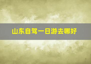 山东自驾一日游去哪好