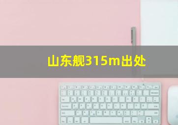 山东舰315m出处