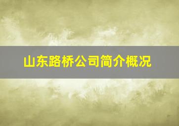 山东路桥公司简介概况