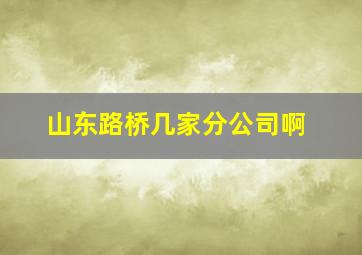 山东路桥几家分公司啊