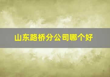 山东路桥分公司哪个好