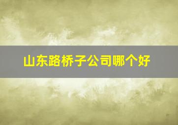 山东路桥子公司哪个好