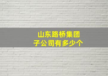 山东路桥集团子公司有多少个