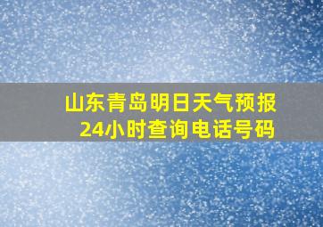 山东青岛明日天气预报24小时查询电话号码