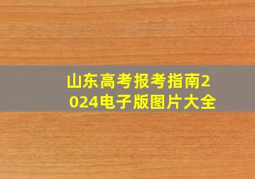 山东高考报考指南2024电子版图片大全