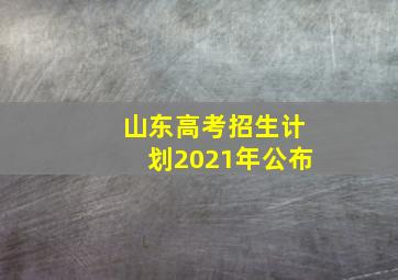 山东高考招生计划2021年公布