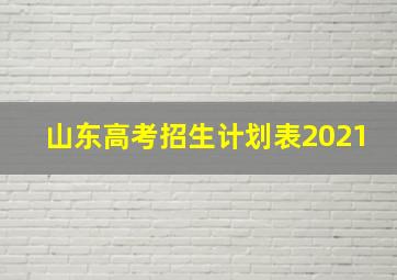 山东高考招生计划表2021