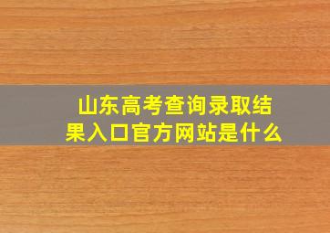 山东高考查询录取结果入口官方网站是什么