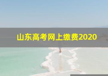 山东高考网上缴费2020