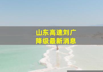 山东高速刘广降级最新消息