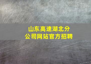 山东高速湖北分公司网站官方招聘