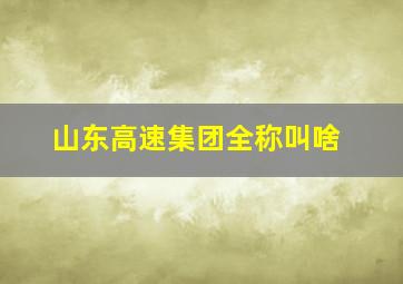 山东高速集团全称叫啥