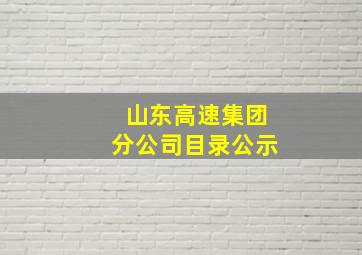 山东高速集团分公司目录公示