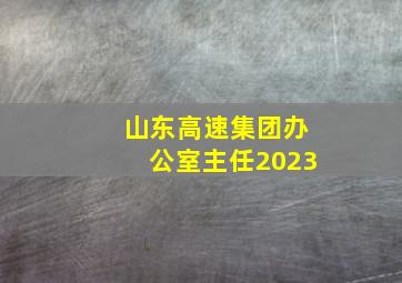 山东高速集团办公室主任2023