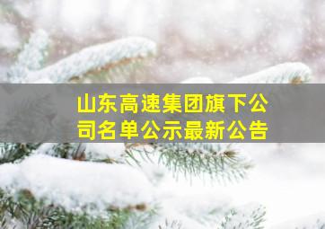 山东高速集团旗下公司名单公示最新公告