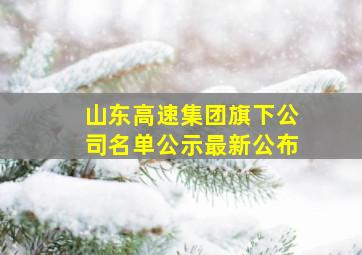 山东高速集团旗下公司名单公示最新公布