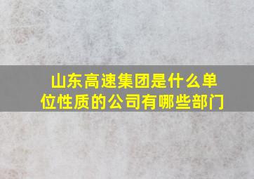 山东高速集团是什么单位性质的公司有哪些部门