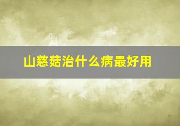 山慈菇治什么病最好用