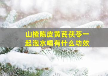 山楂陈皮黄芪茯苓一起泡水喝有什么功效