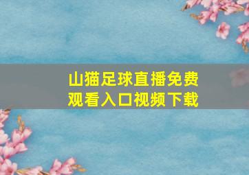 山猫足球直播免费观看入口视频下载