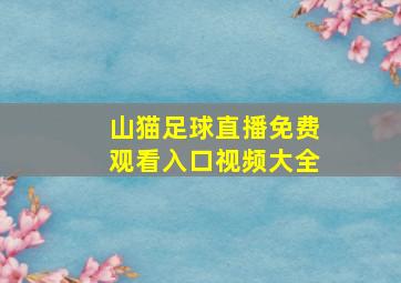 山猫足球直播免费观看入口视频大全