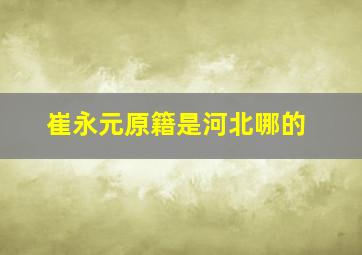 崔永元原籍是河北哪的