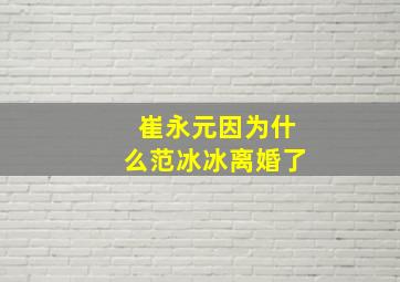 崔永元因为什么范冰冰离婚了