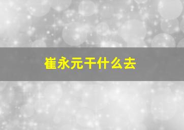 崔永元干什么去