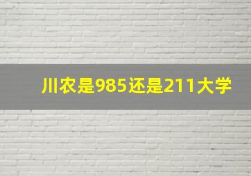 川农是985还是211大学