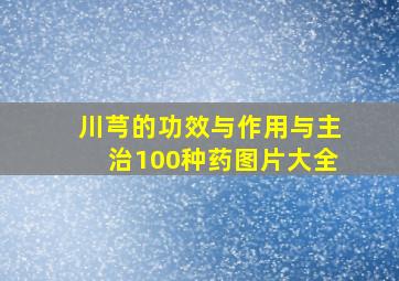 川芎的功效与作用与主治100种药图片大全