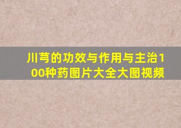 川芎的功效与作用与主治100种药图片大全大图视频