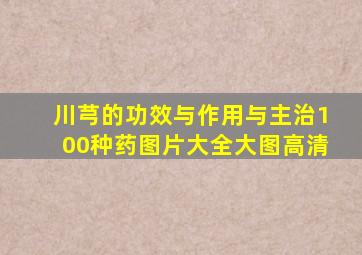 川芎的功效与作用与主治100种药图片大全大图高清