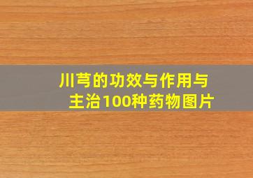 川芎的功效与作用与主治100种药物图片