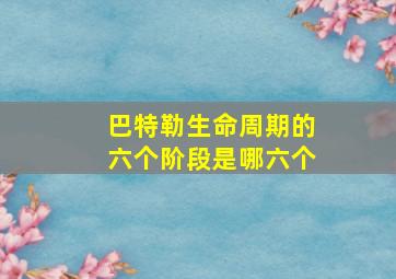 巴特勒生命周期的六个阶段是哪六个