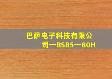 巴萨电子科技有限公司一BSB5一80H