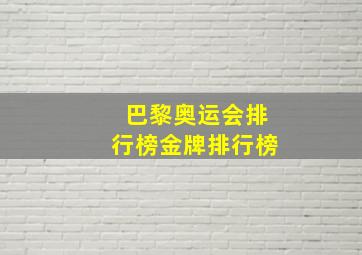 巴黎奥运会排行榜金牌排行榜