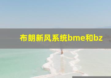 布朗新风系统bme和bz