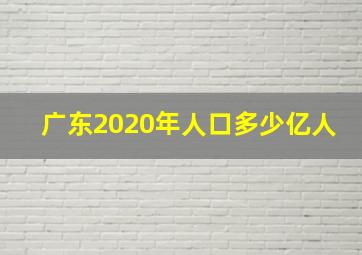 广东2020年人口多少亿人