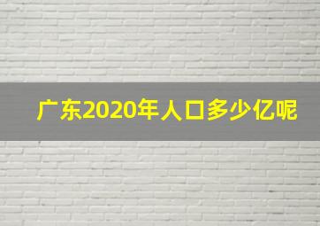 广东2020年人口多少亿呢