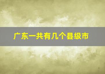 广东一共有几个县级市