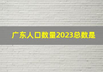 广东人口数量2023总数是