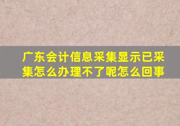 广东会计信息采集显示已采集怎么办理不了呢怎么回事