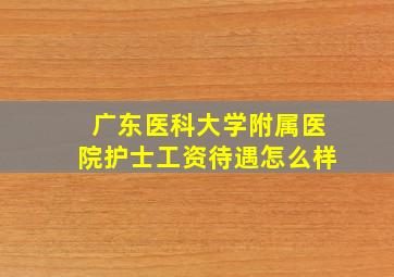 广东医科大学附属医院护士工资待遇怎么样