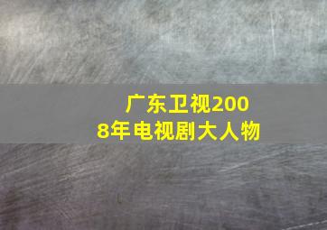 广东卫视2008年电视剧大人物