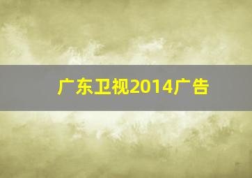 广东卫视2014广告