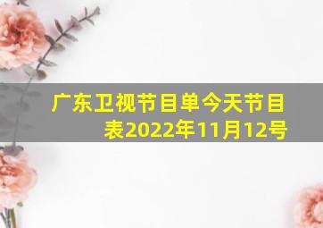 广东卫视节目单今天节目表2022年11月12号