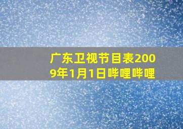 广东卫视节目表2009年1月1日哔哩哔哩