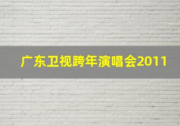 广东卫视跨年演唱会2011